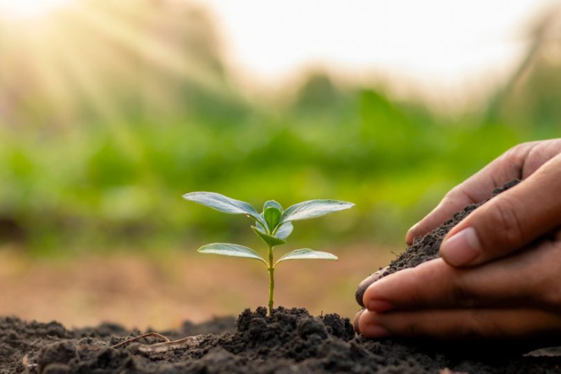 Dự án bảo vệ, tái tạo rừng quốc gia Ba Vì